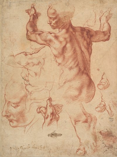 Studies voor de Libische Sibylle (recto), ca. 1510-11 door Michelangelo Buonarroti